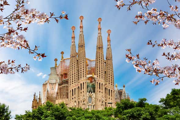 Visita de la Sagrada Familia sin colas